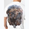 Tricou pentru bărbați Pitbull Hero white 4