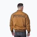 Geacă pentru bărbați Pitbull Radford Baseball honey yellow 3