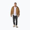 Geacă de iarnă pentru bărbați Pitbull Elkwood 3 Sherpa Hooded honney yellow 2
