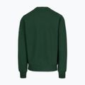Bluză pentru bărbați Pitbull Norton Crewneck green 5