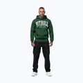 Bluză pentru bărbați Pitbull Norton Hooded hunter green 2