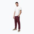 Pantaloni pentru bărbați Pitbull Hilltop Track Hatton burgundy 2