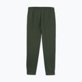 Pantaloni pentru bărbați Pitbull Sampson Track Pants old green 5