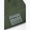 Căciulă de iarnă Pitbull Beanie Dock grassy green 2