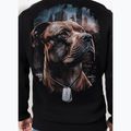 Bluză pentru bărbați Pitbull Hero Hooded black 3