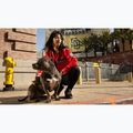 Geacă pentru femei Pitbull Angela San Diego Hooded Varsity fluo/red 19