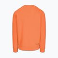 Bluză pentru bărbați Pitbull Dogwood Crewneck Sweatshirt fluo orange 5