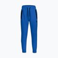 Pantaloni pentru bărbați Pitbull Dogwood Track imperial blue 4