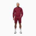 Bluză pentru bărbați Pitbull Sampson Crewneck Sweatshirt burgundy 2