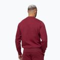 Bluză pentru bărbați Pitbull Sampson Crewneck Sweatshirt burgundy 3
