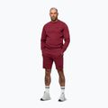 Bluză pentru bărbați Pitbull Sampson Crewneck Sweatshirt burgundy 4