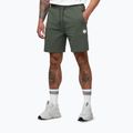 Pantaloni scurți pentru bărbați Pitbull Nugget Small Logo sage green 5