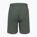 Pantaloni scurți pentru bărbați Pitbull Nugget Small Logo sage green 7
