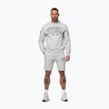 Bluză pentru bărbați Pitbull Badger Crewneck grey/melange 2
