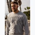 Bluză pentru bărbați Pitbull Badger Crewneck grey/melange 11