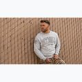 Bluză pentru bărbați Pitbull Badger Crewneck grey/melange 12