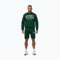 Bluză pentru bărbați Pitbull Badger Crewneck hunter/green 2