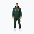 Bluză pentru bărbați Pitbull Badger Hooded hunter green 2