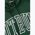 Bluză pentru bărbați Pitbull Badger Hooded hunter green 5