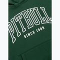 Bluză pentru bărbați Pitbull Badger Hooded hunter green 8