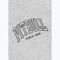 Bluză pentru bărbați Pitbull Badger Hooded Zip grey/melange 11