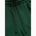 Pantaloni pentru bărbați Pitbull Badger Track hunter green 6