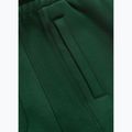 Pantaloni pentru bărbați Pitbull Badger Track hunter green 8