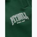 Pantaloni pentru bărbați Pitbull Badger Track hunter green 9