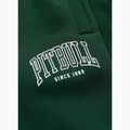 Pantaloni scurți pentru bărbați Pitbull Badger hunter green 9