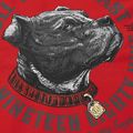 Bluză pentru bărbați Pitbull Strenght & Respect Sweatshirt Hooded red 9