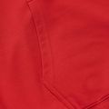 Bluză pentru bărbați Pitbull Strenght & Respect Sweatshirt Hooded red 12