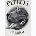 Bluză pentru bărbați Pitbull Midnight Sweatshirt Hooded off white 9