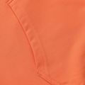 Bluză pentru bărbați Pitbull Bloodline 2 Sweatshirt Hooded fluo orange 12