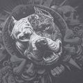 Bluză pentru bărbați Pitbull World Sweatshirt Zip Hooded graphite 11