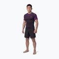 Rashguard pentru bărbați Pitbull Belt Rashguard purple 2