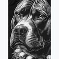 Rashguard cu mânecă lungă pentru bărbați Pitbull Blacky Rashguard 8