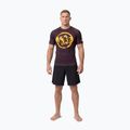 Tricou pentru bărbați Pitbull Rashguard Logo Palms brown 2