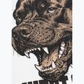 Tricou pentru bărbați Pitbull Best Coast white 12