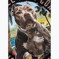 Tricou pentru femei Pitbull Beach Girl black 11
