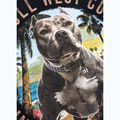 Tricou pentru bărbați Pitbull Beach Boy black 11