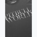 Tricou pentru bărbați Pitbull World graphite 4