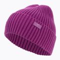 Căciulă de iarnă pentru femei 4F violet H4Z22-CAD004 3
