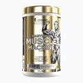 Pre-antrenament Fitness Authority Levrone Gold Maryland Muscle Machine 385 g fruit punch