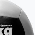 Minge de perete Gipara 9 kg, gri, 3097 2