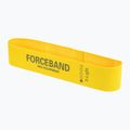 Set de benzi din material pentru exerciții FORCEBAND Mini Band 5 buc. + E-BOOK multicolor 3