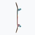 Skateboard clasic Fish Skateboards Pro Paul 8.25" 4