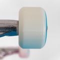 Skateboard clasic Fish Skateboards Pro Paul 8.25" 7