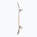 Skateboard clasic Fish Skateboards Pro Brain Vacation 8.0" 4