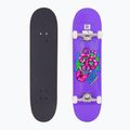 Skateboard clasic Fish Skateboards Beginner Huron 8.0"