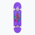 Skateboard clasic Fish Skateboards Beginner Huron 8.0" 3